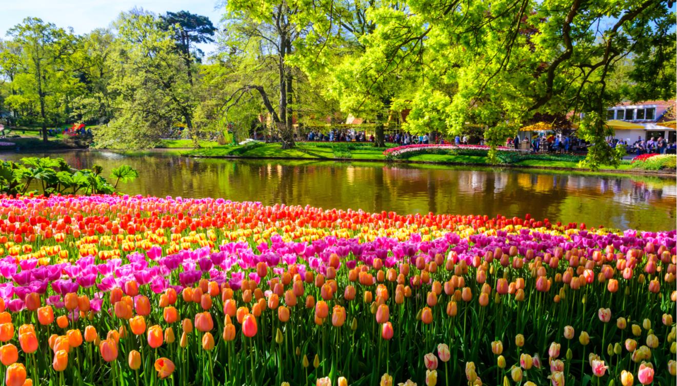 keukenhof pays bas