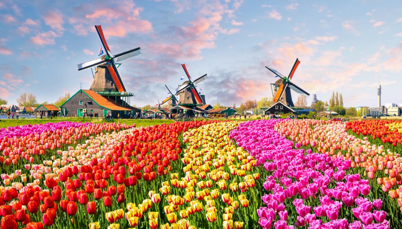 zaanse schans pays bas