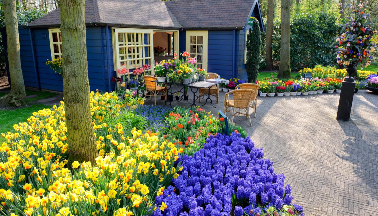 keukenhof lisse maison bleu