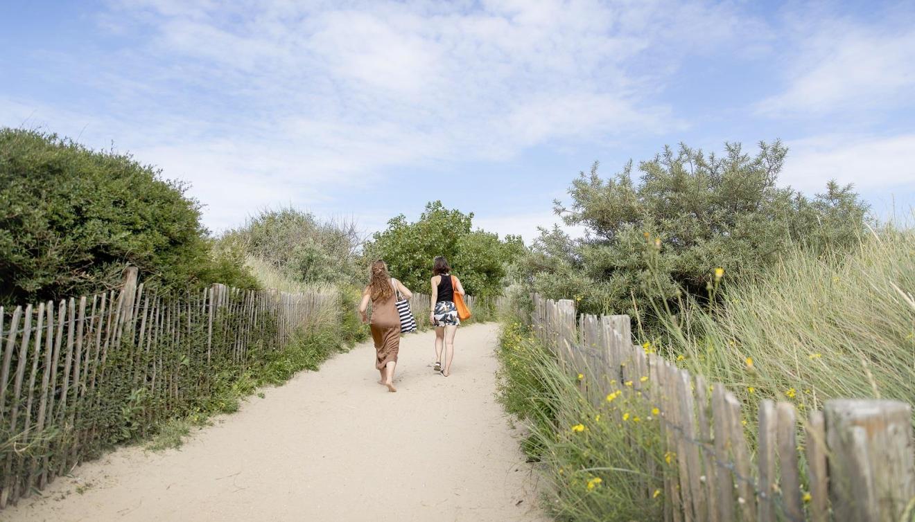 blankenberge duinen