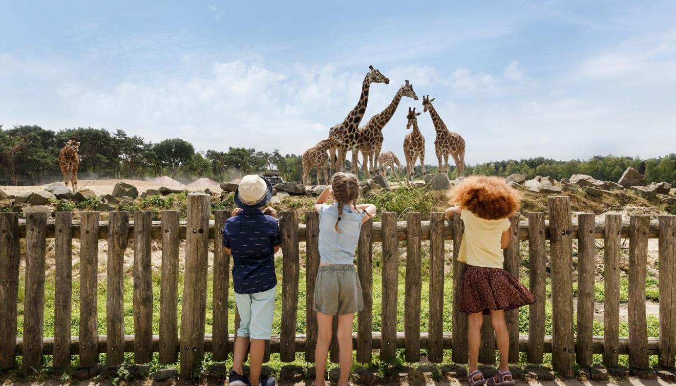 Beekse bergen parc animalier