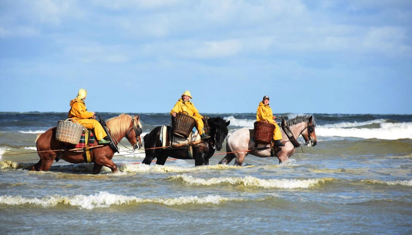 pecheurs cheval