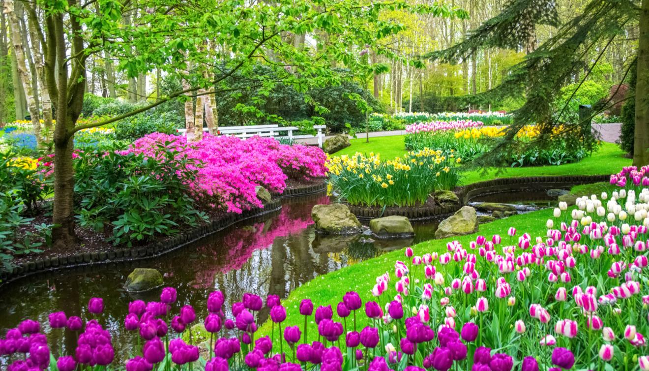 Keukenhof 