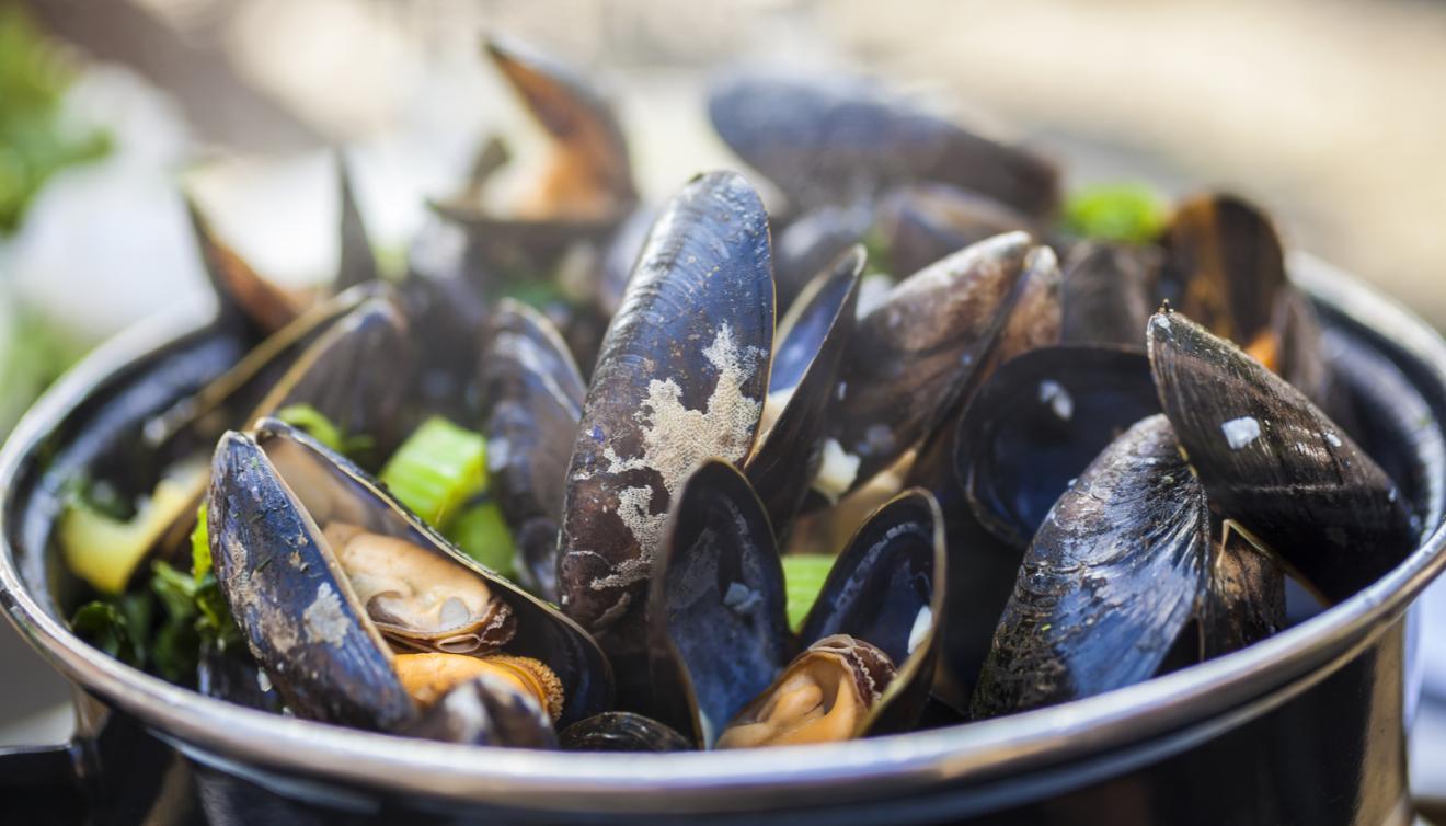 moules