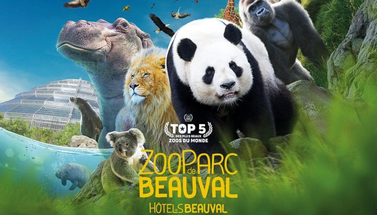 zoo de beauval