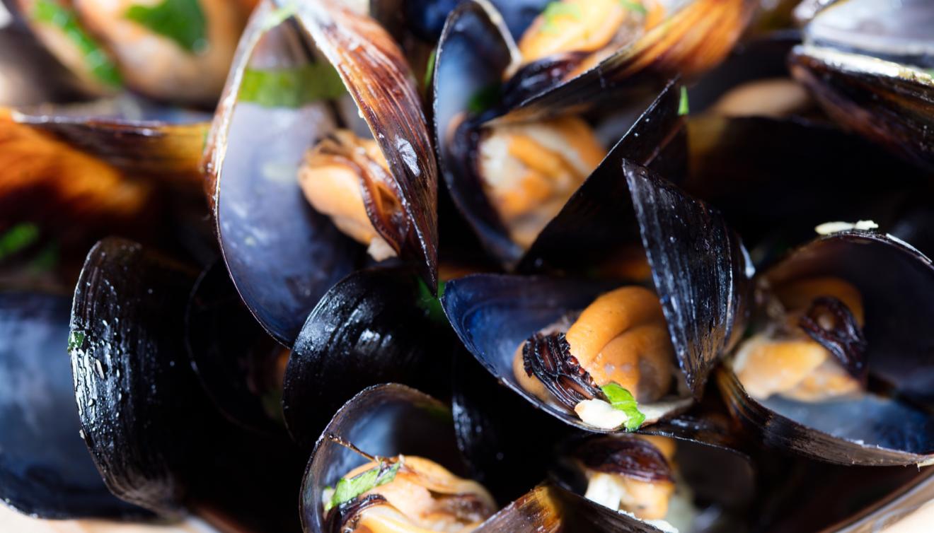 moules