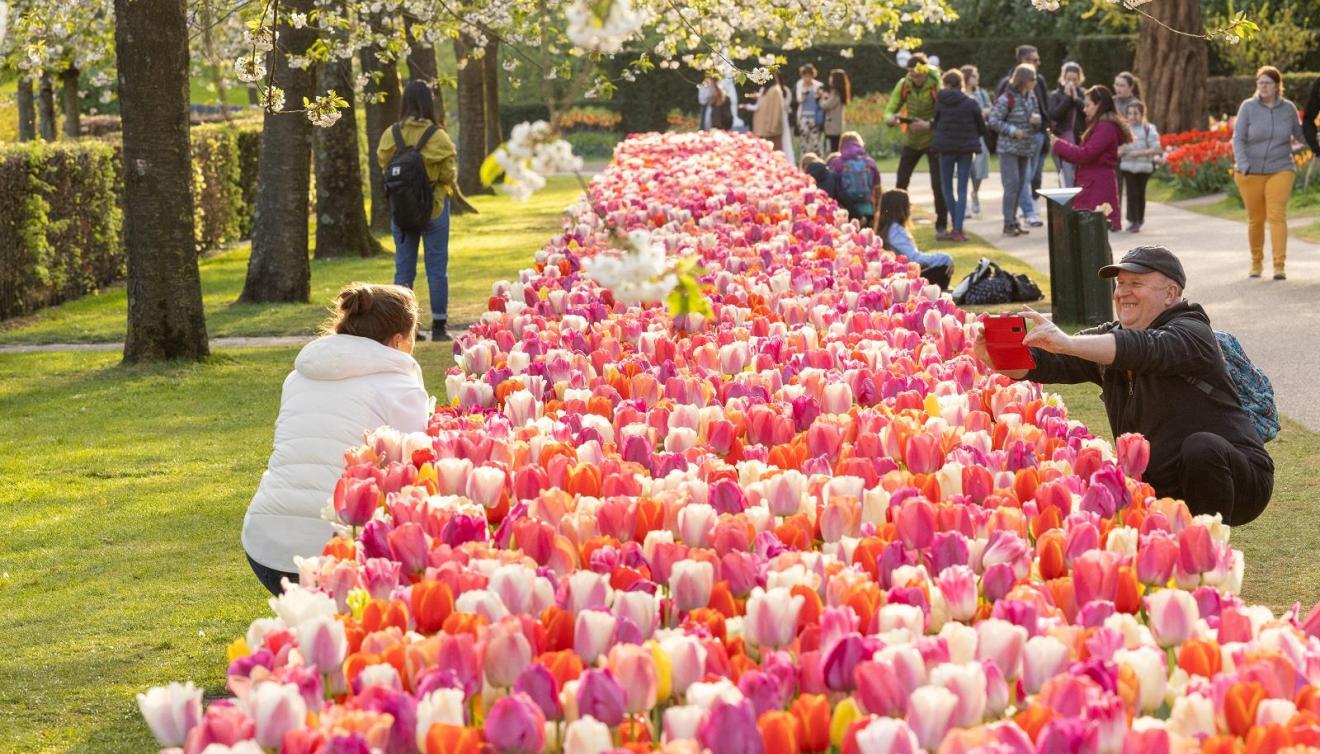 keukenhof