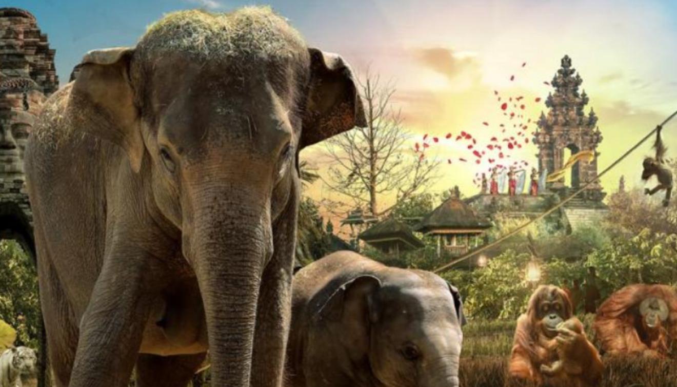 pairi daiza
