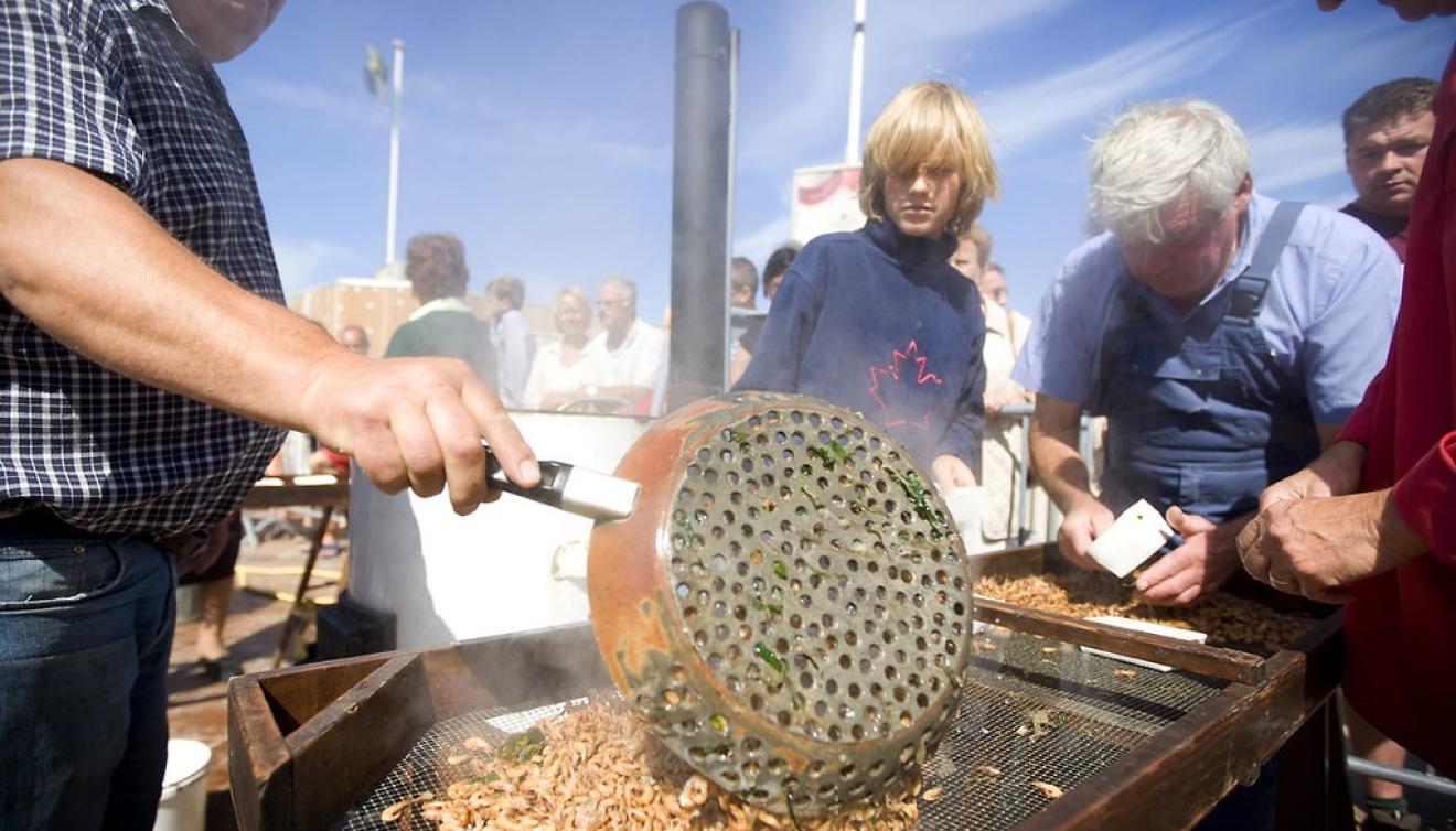 garnaalfeesten oostduinkerke