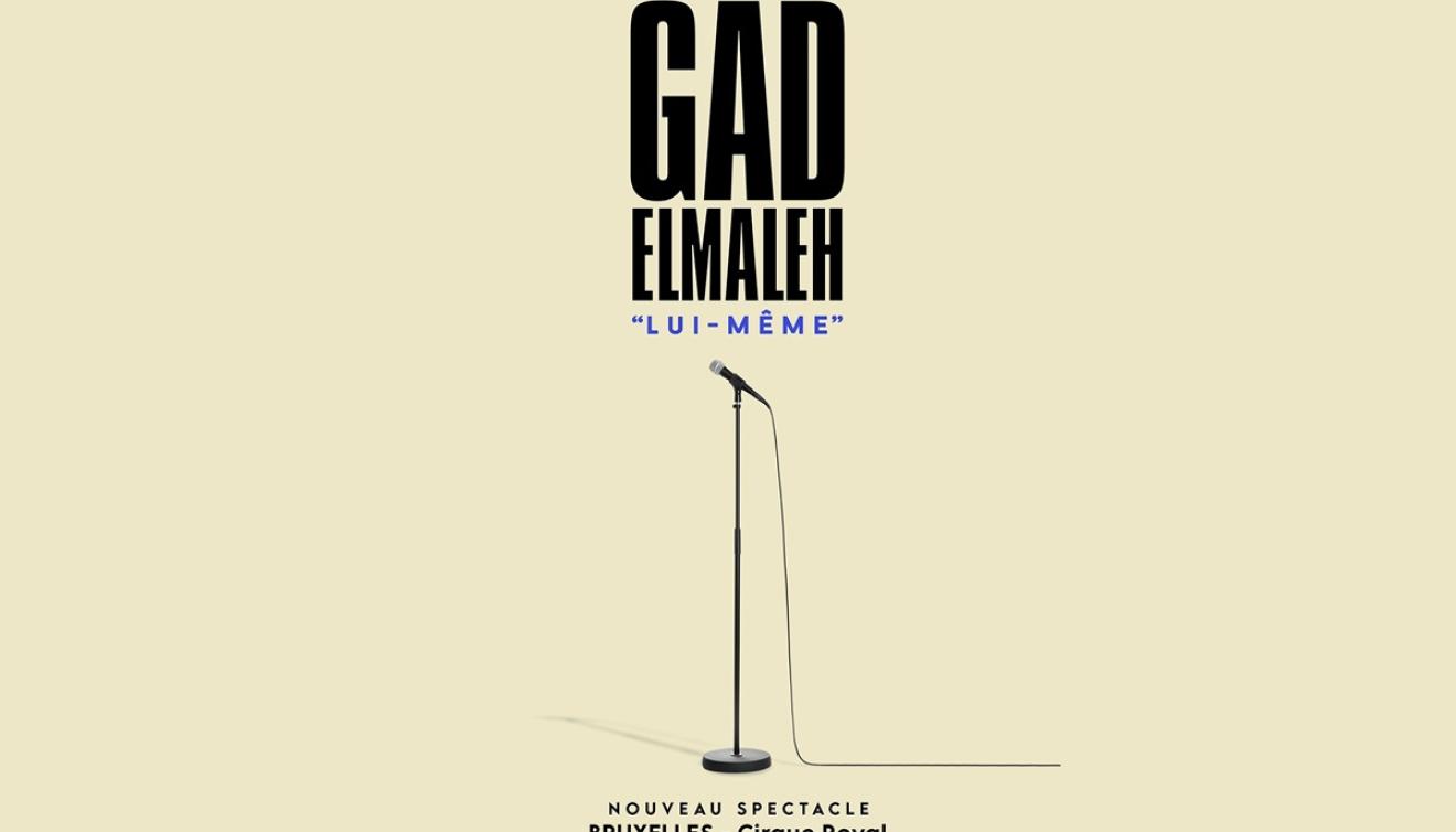 gad elmaleh spectacle