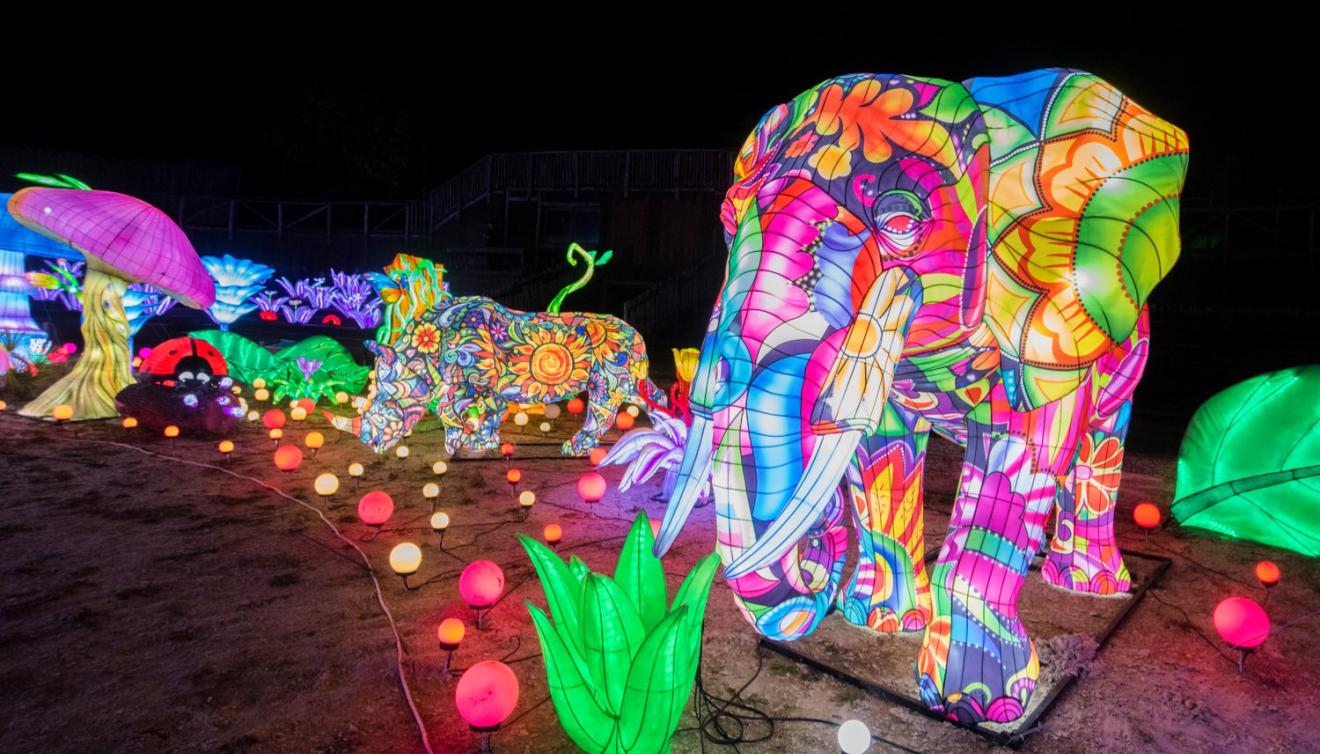 luminescences zoo amneville