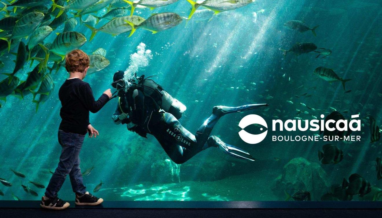 Nausicaa aquarium