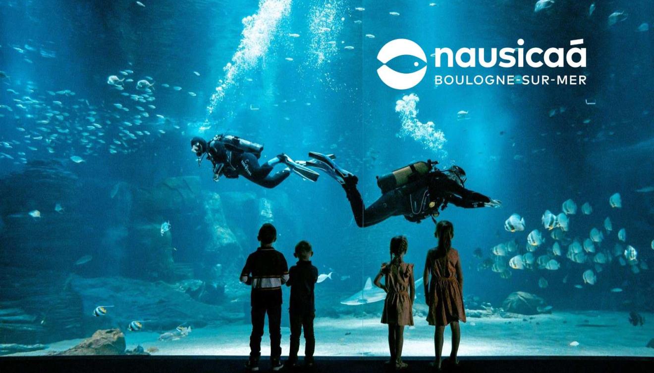 Nausicaa