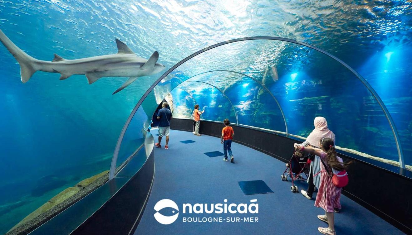 nausicaa