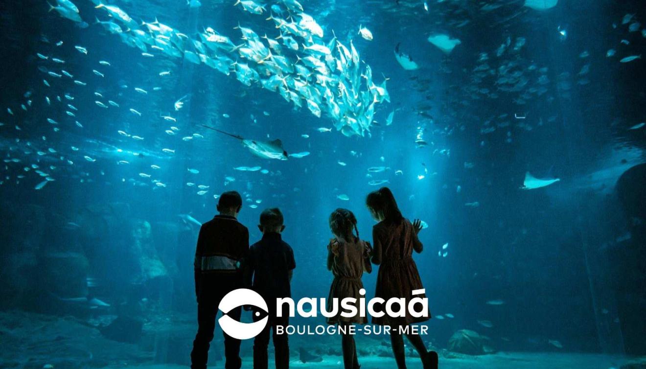 nausicaa