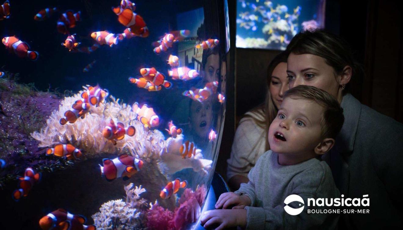 Nausicaa aquarium