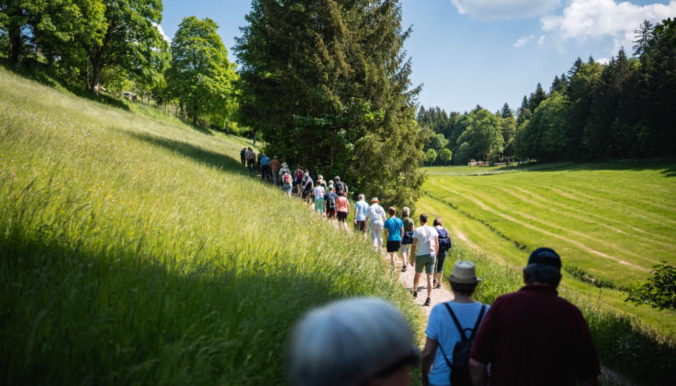 wandelen in het zwarte woud
