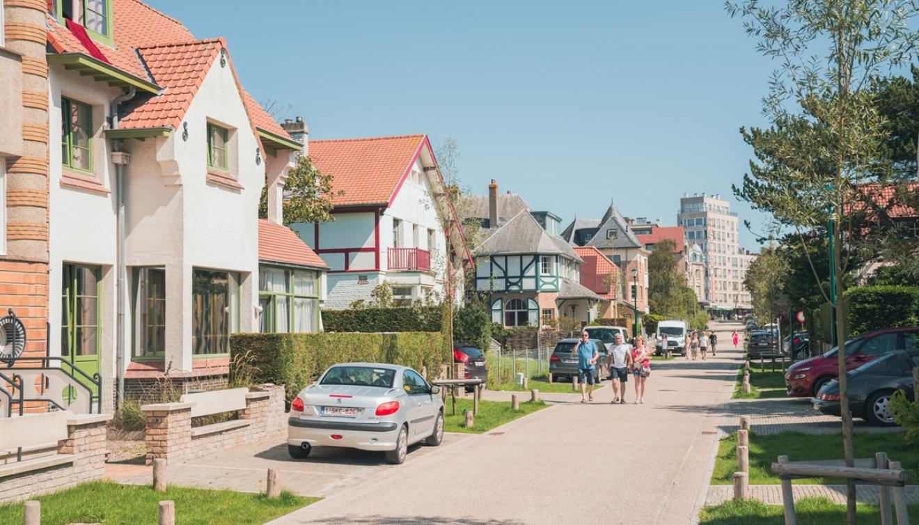 De Panne Dumontwijk