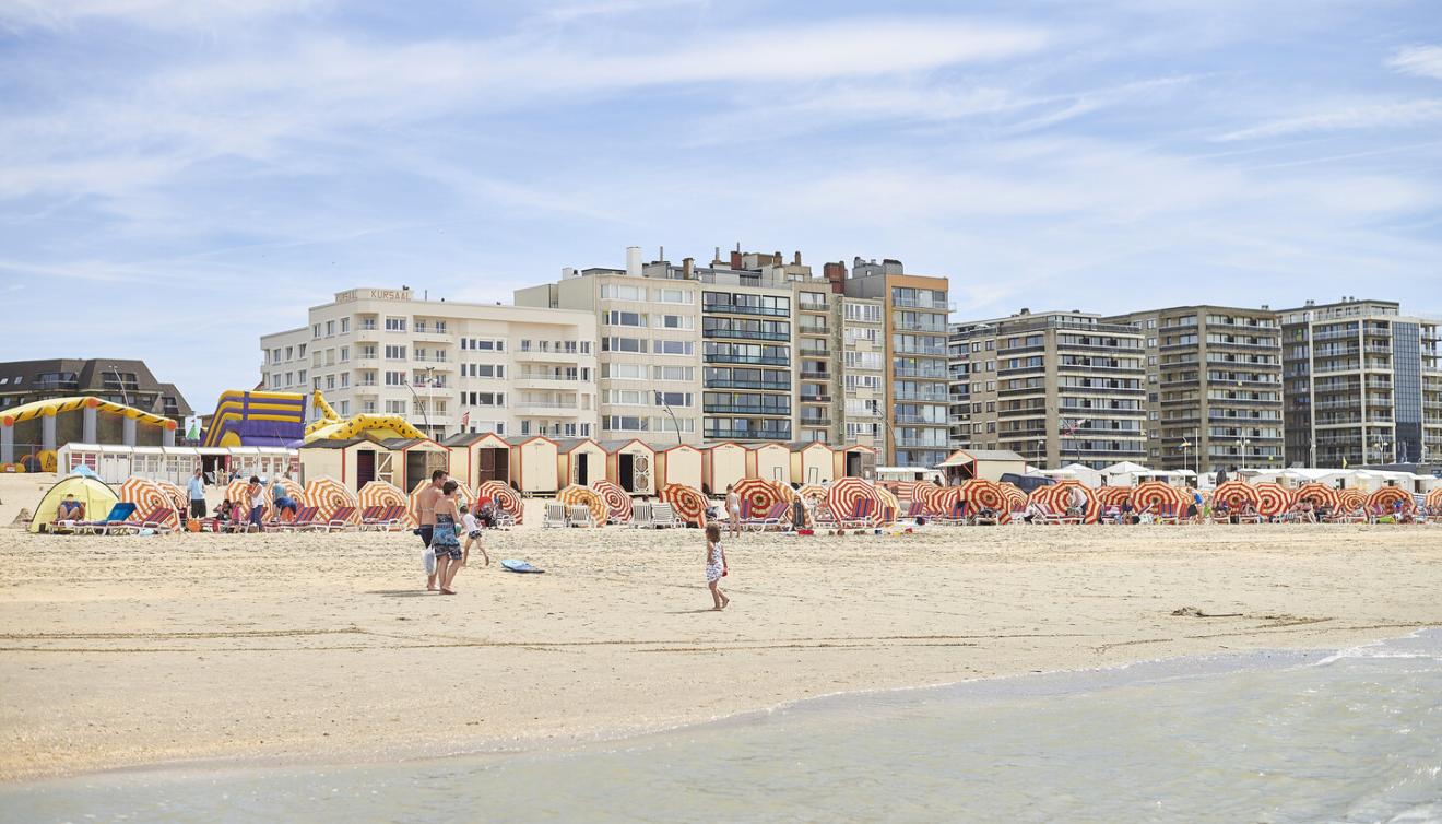 het strand van de panne