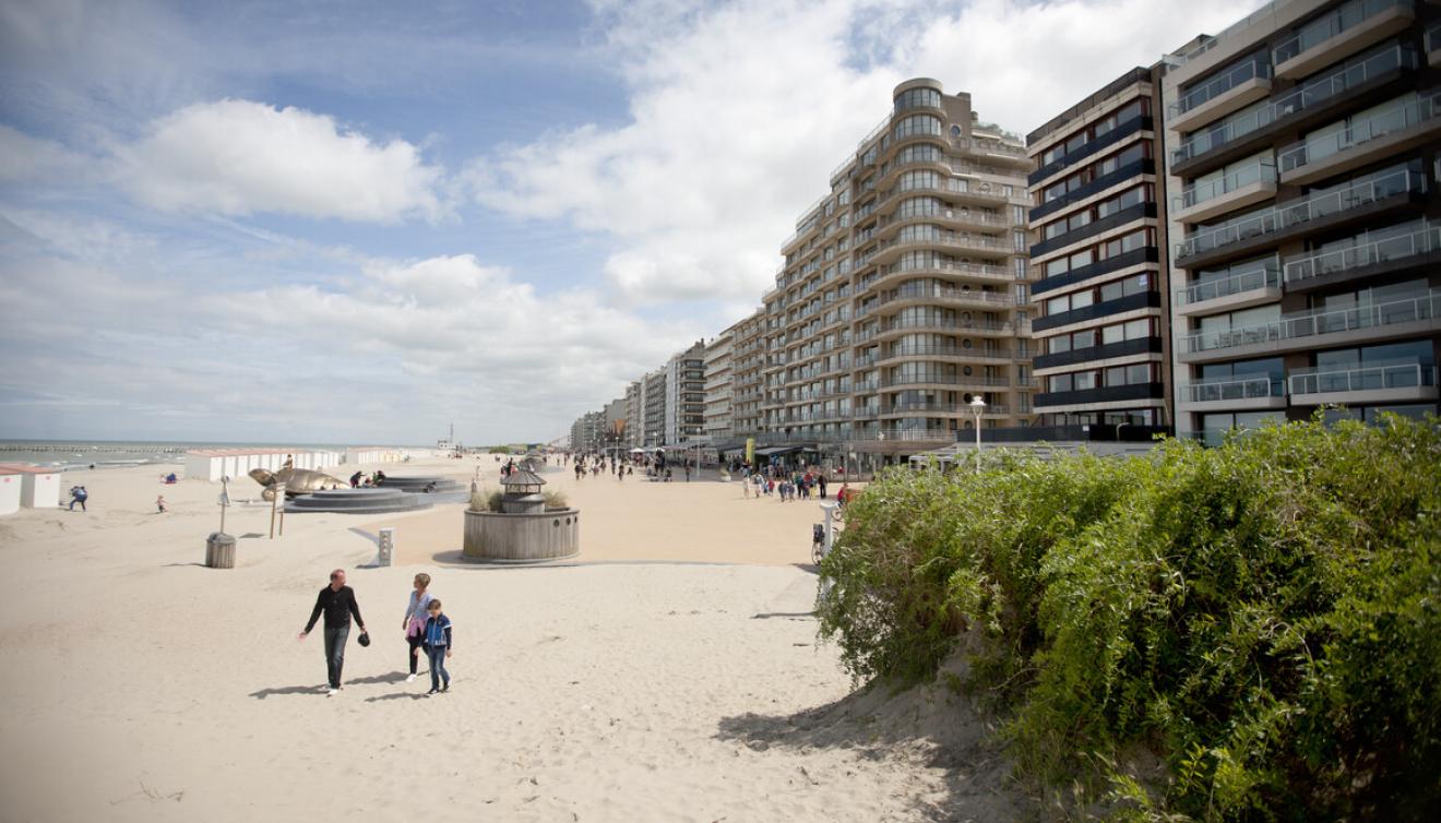 strand en zeedijk nieuwpoort