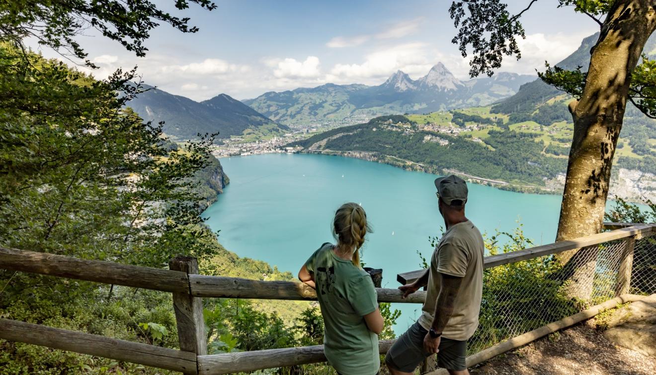 Seelisberg uitzicht Zwitserland