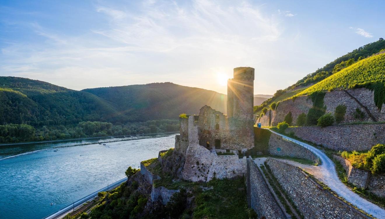 Rüdesheim: Ehrenfels Rhin