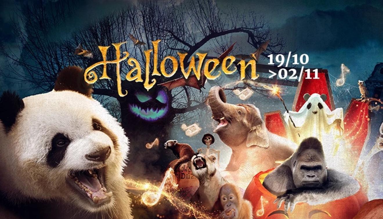 pairi daiza halloween