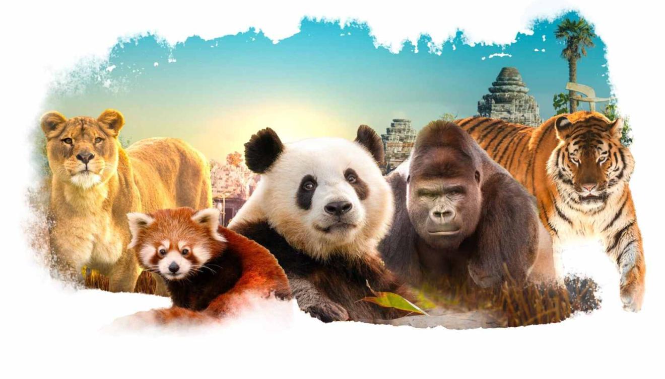 Pairi Daiza visual