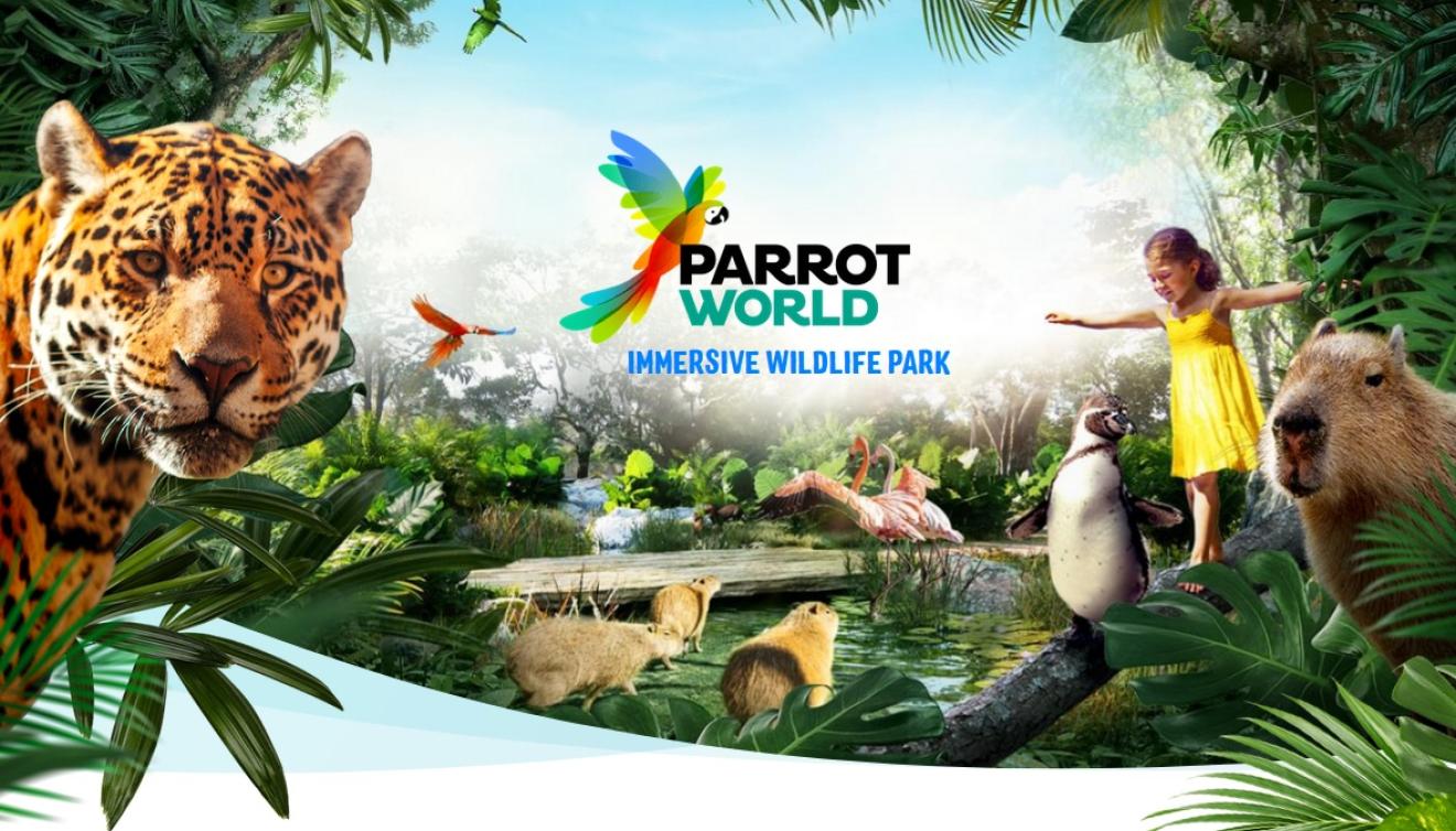 parrot world