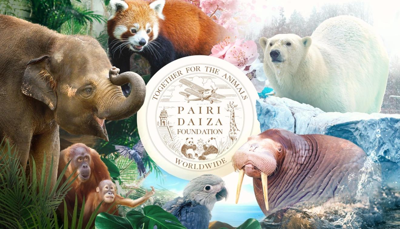 pairi daiza
