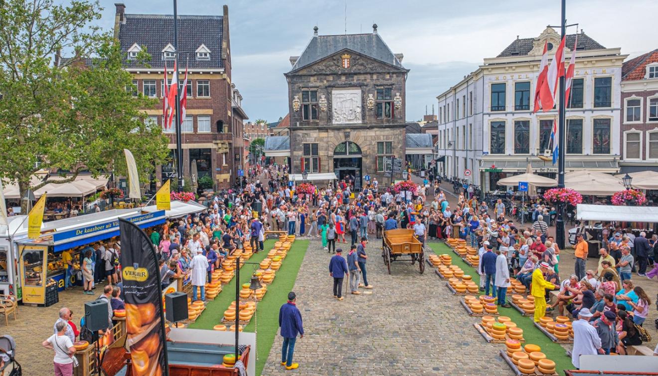 gouda