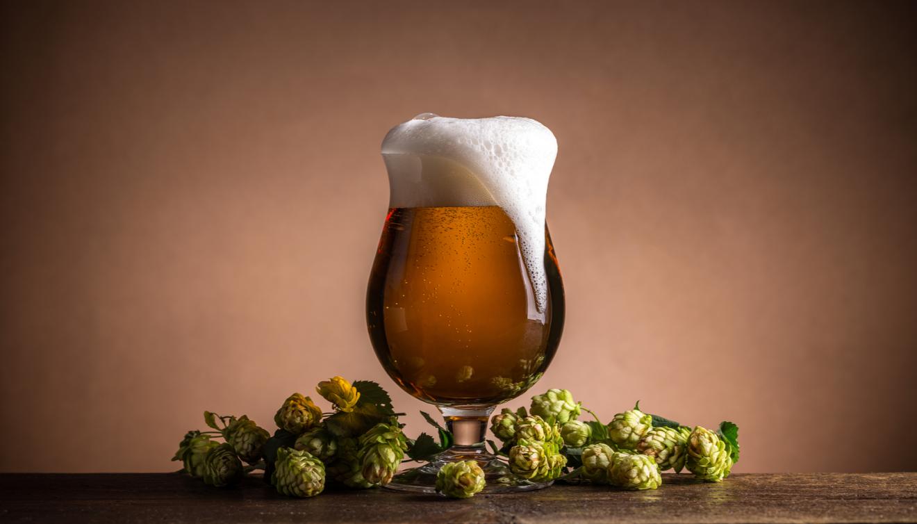 bier hop
