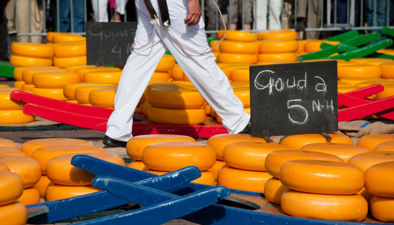 gouda alkmaar kaas