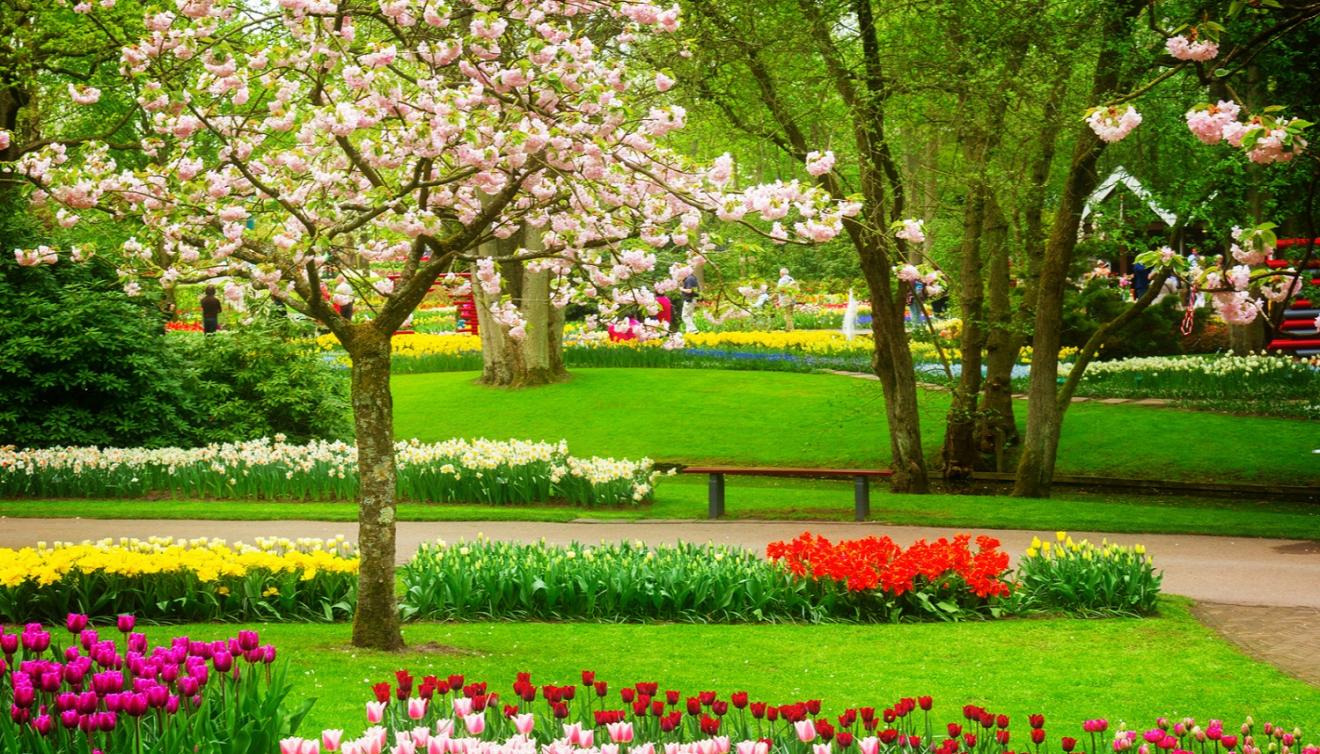 keukenhof lisse