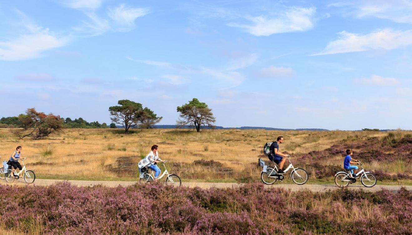 hoge veluwe fiets