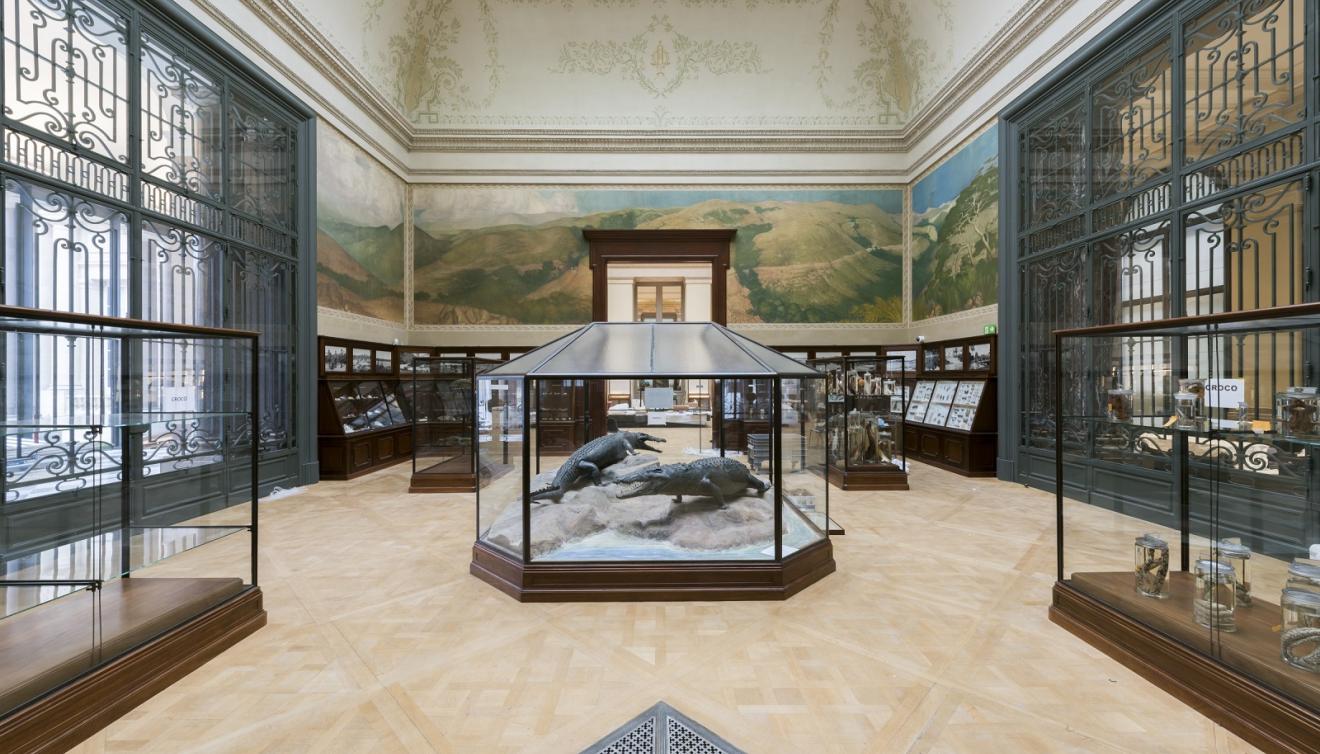 afrika museum tervuren