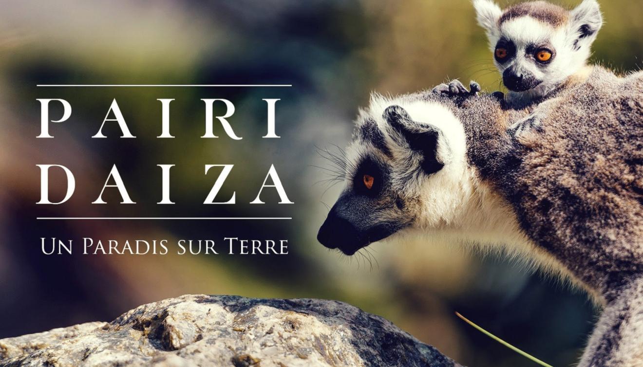pairi daiza visual