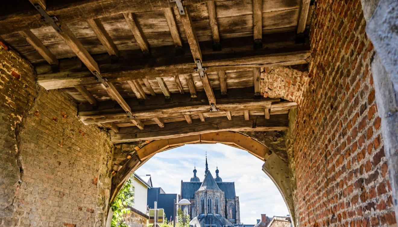 bastogne basiliek