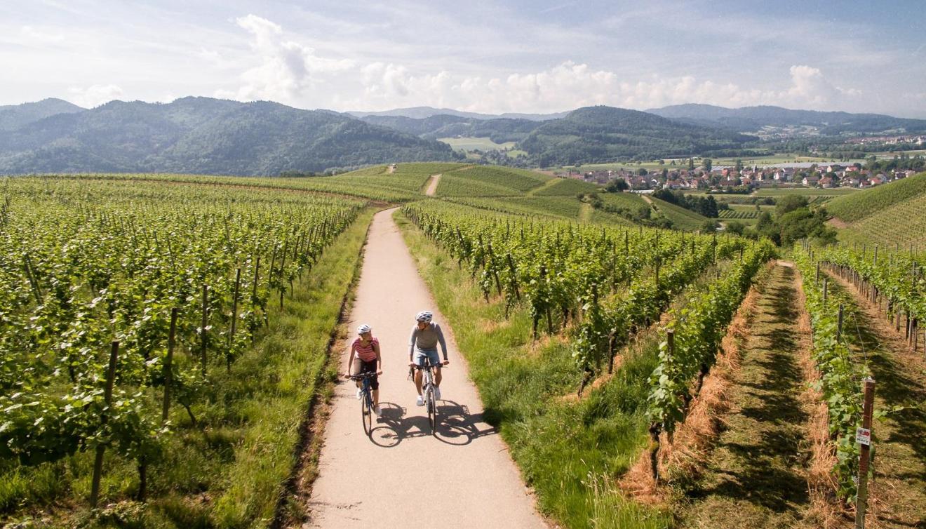 weinradweg zwarte woud fiets