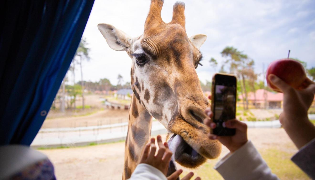 Safaripark Beekse Bergen