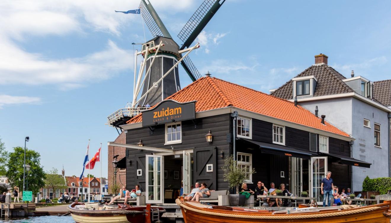 haarlem zuidam 