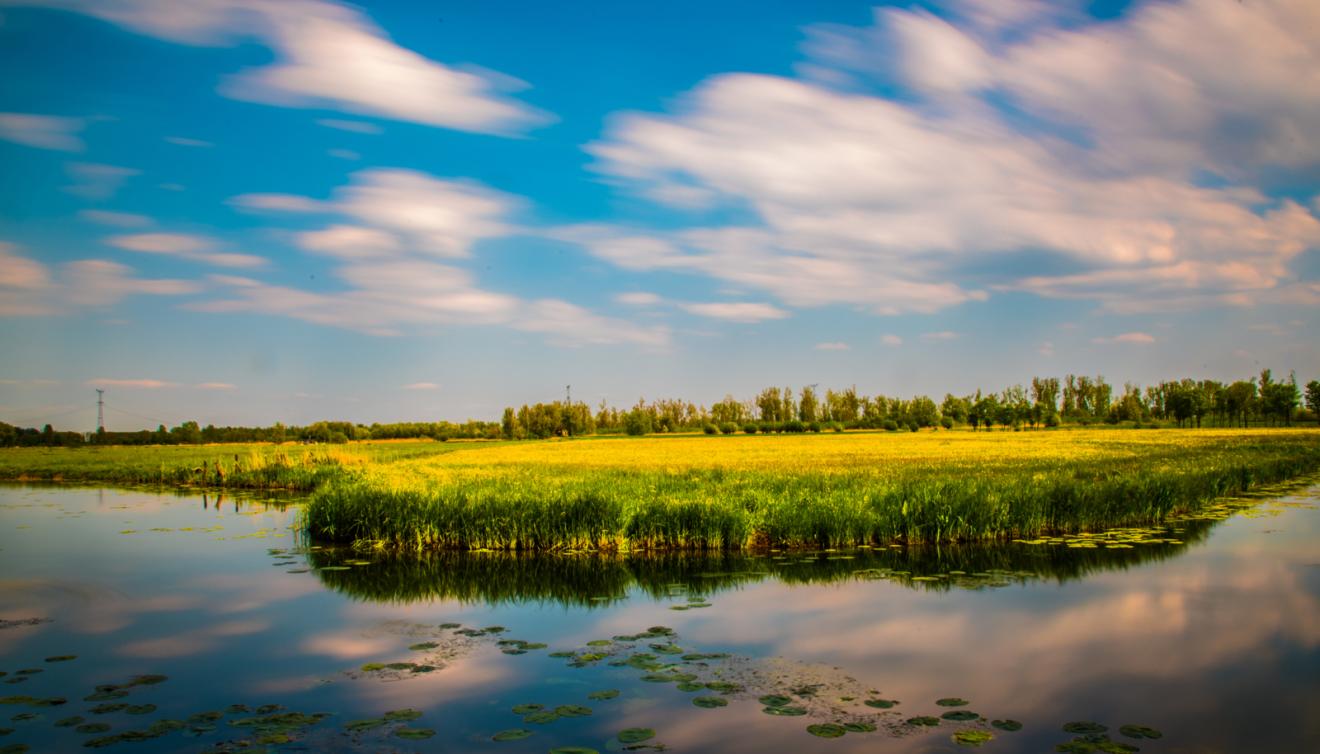 park biesbosch nederland