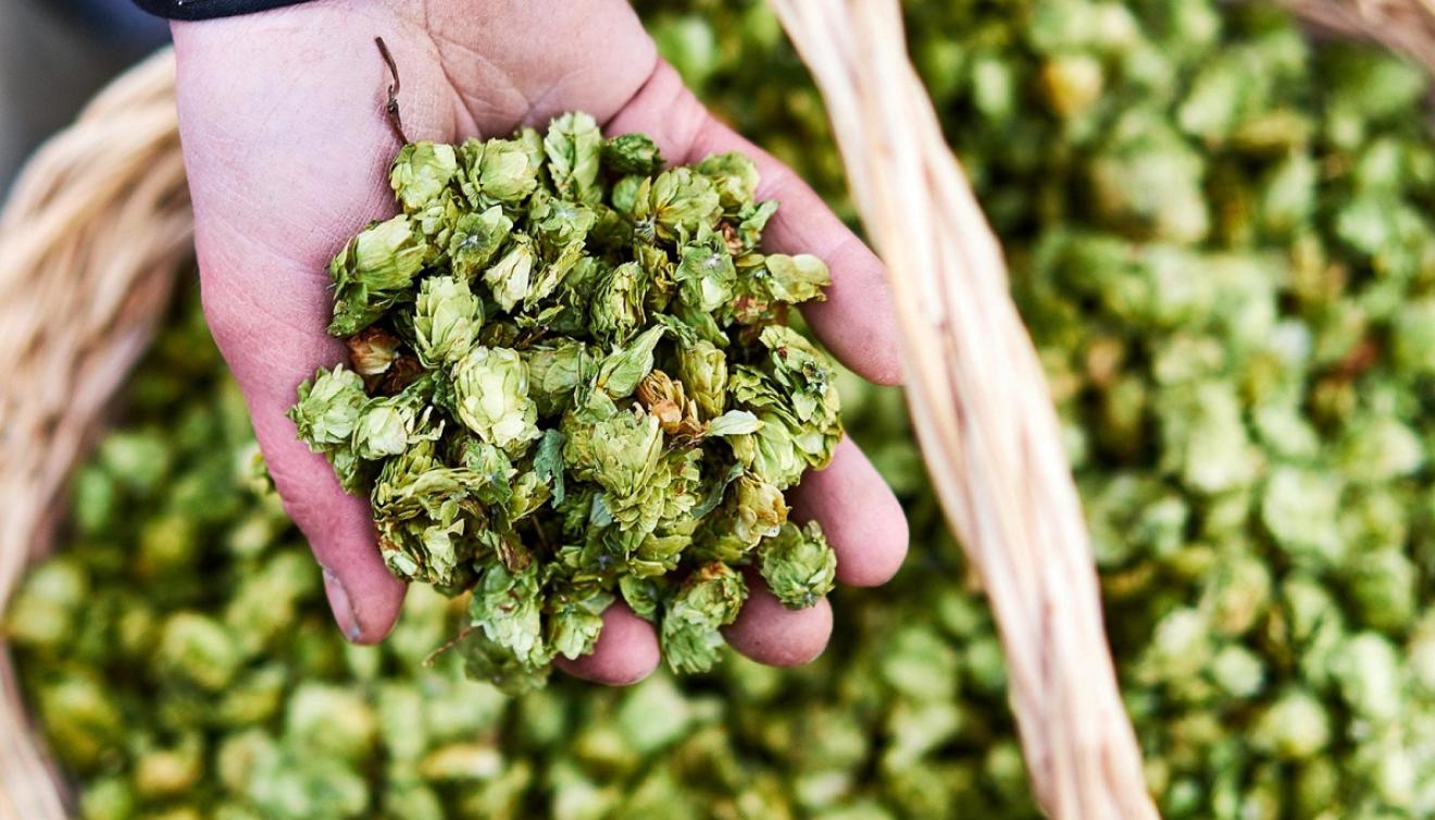 hop
