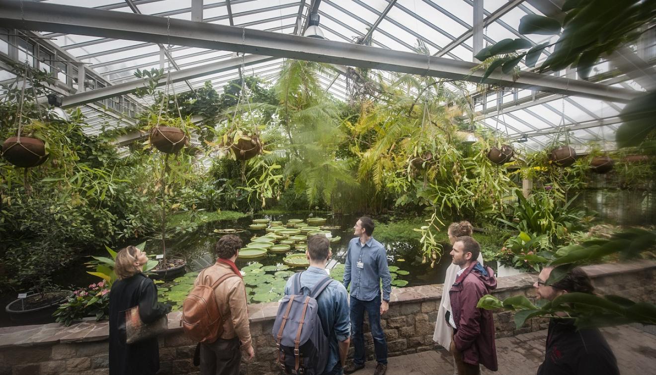 plantentuin meise