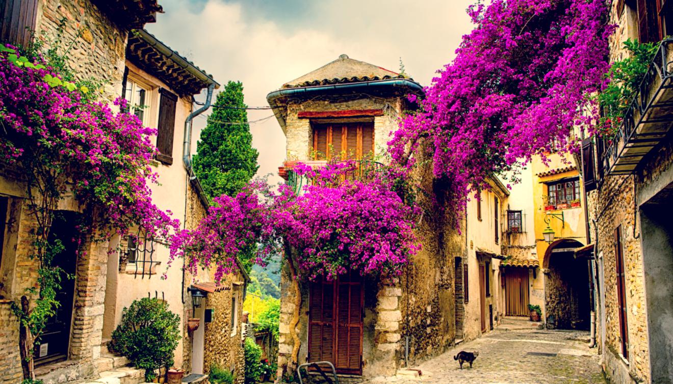 provence frankrijk