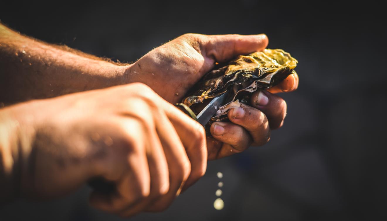 oester in handen