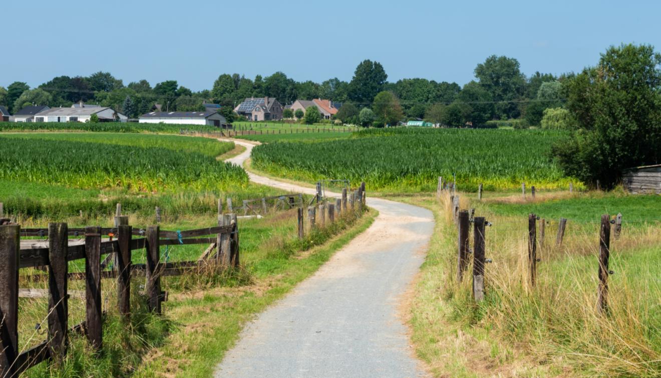 pajottenland platteland