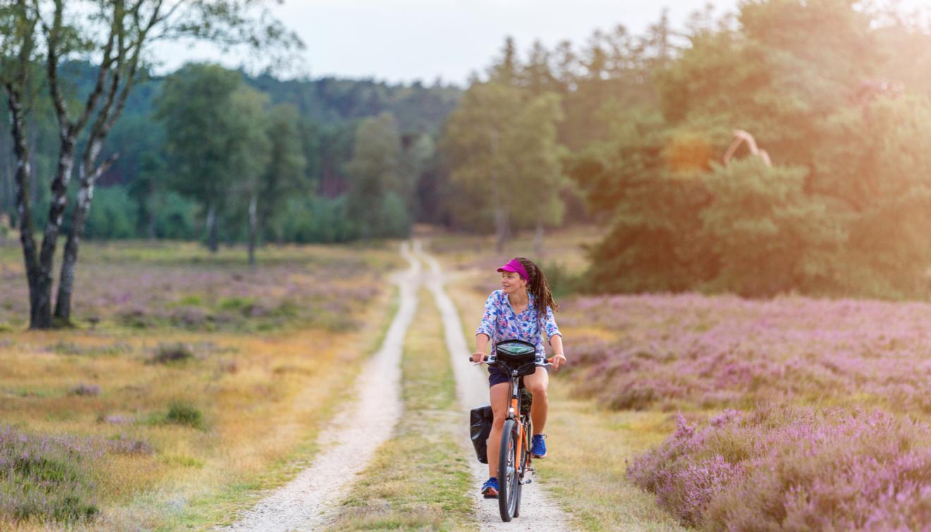 fietsen in veluwe