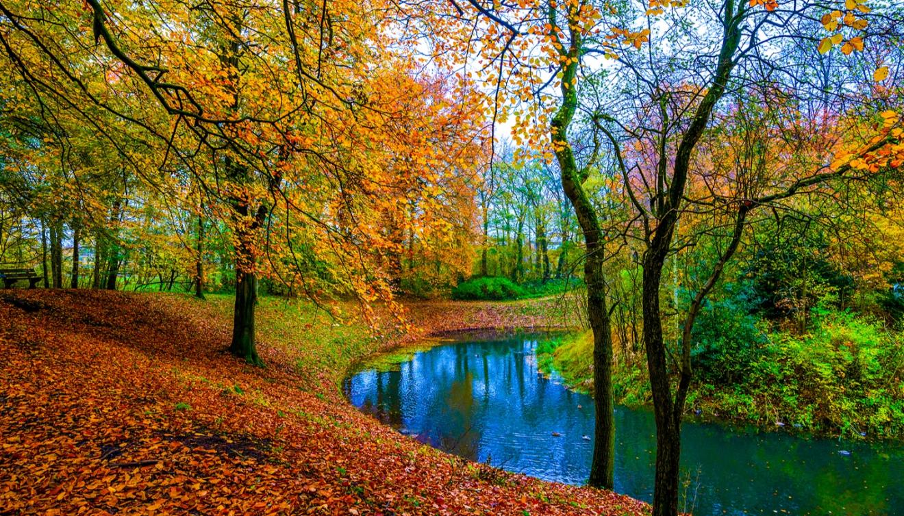 herfst