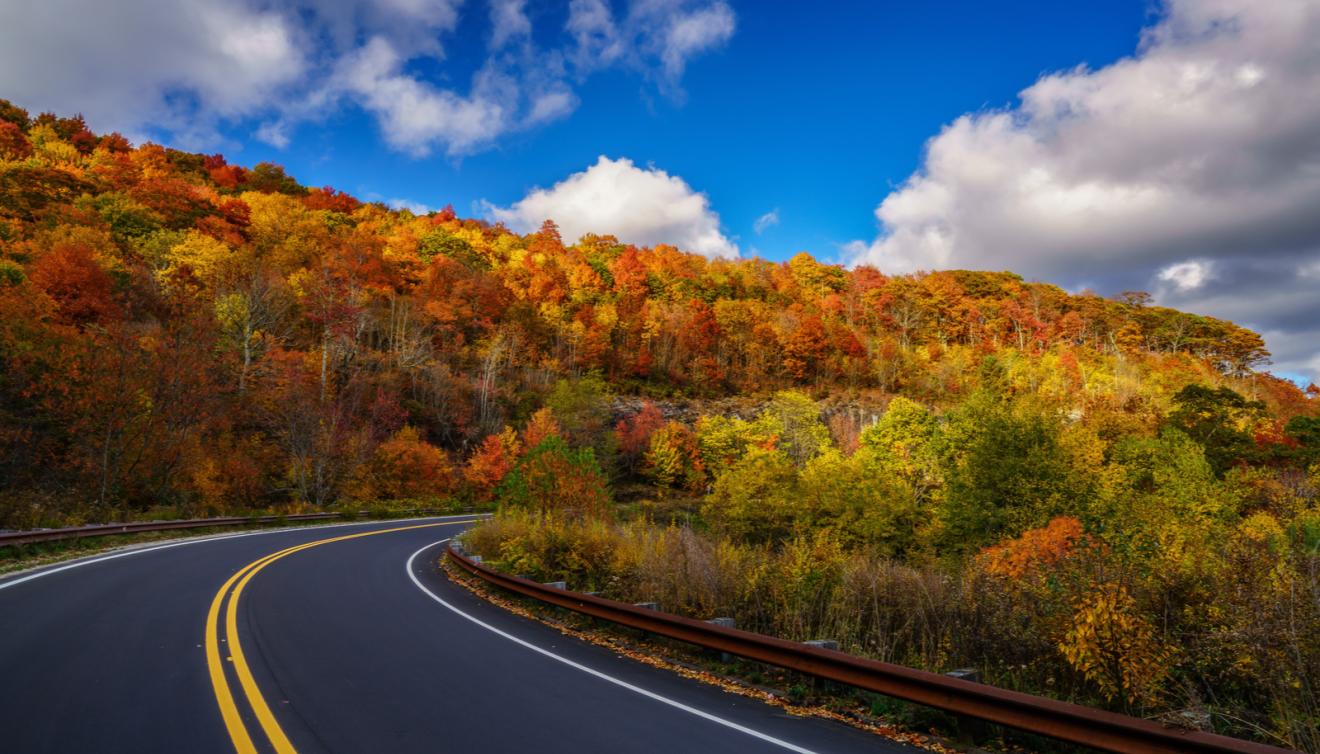 landschap weg herfst